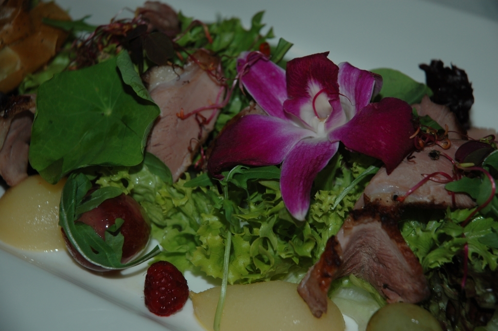 Sałatka z gęsią marynowaną w calvadosie                                                                              sałata lollo rosso, rukola, szczawik zajęczy. serwowana z  cykorią, gruszką i puree z marakui